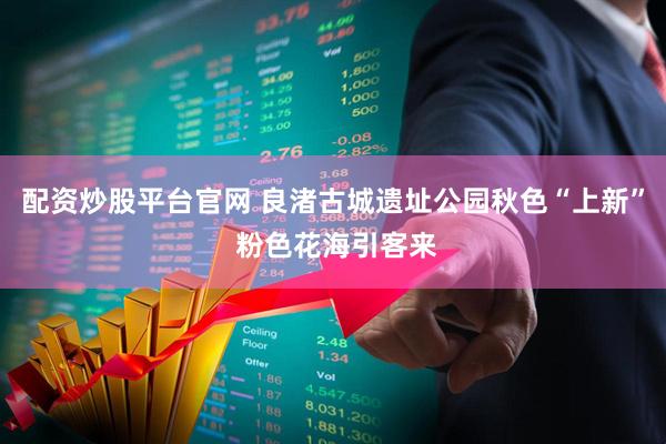 配资炒股平台官网 良渚古城遗址公园秋色“上新” 粉色花海引客来