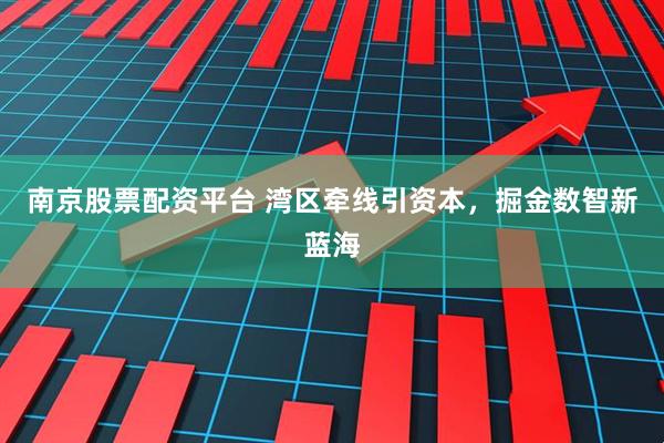 南京股票配资平台 湾区牵线引资本，掘金数智新蓝海