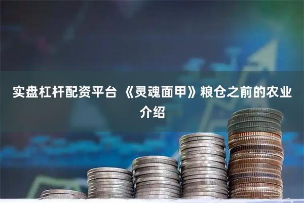 实盘杠杆配资平台 《灵魂面甲》粮仓之前的农业介绍